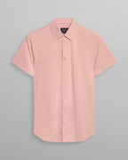 Light-Mauve