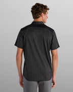 Black-Striped